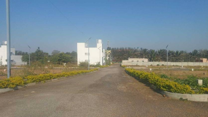 Additional image 2 of Bhogadi, Mysore