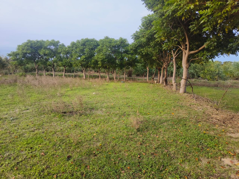 Additional image 2 of Thalatheru, Karaikal, Pondicherry