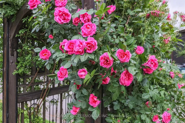 Additional image 38 of 36 Lake Shore Dr