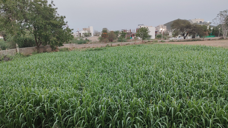 Additional image 3 of Hiran Magri, Udaipur