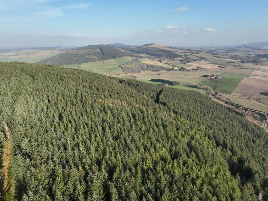 Additional image 6 of Glen of Noth Forest, Aberdeenshire AB54