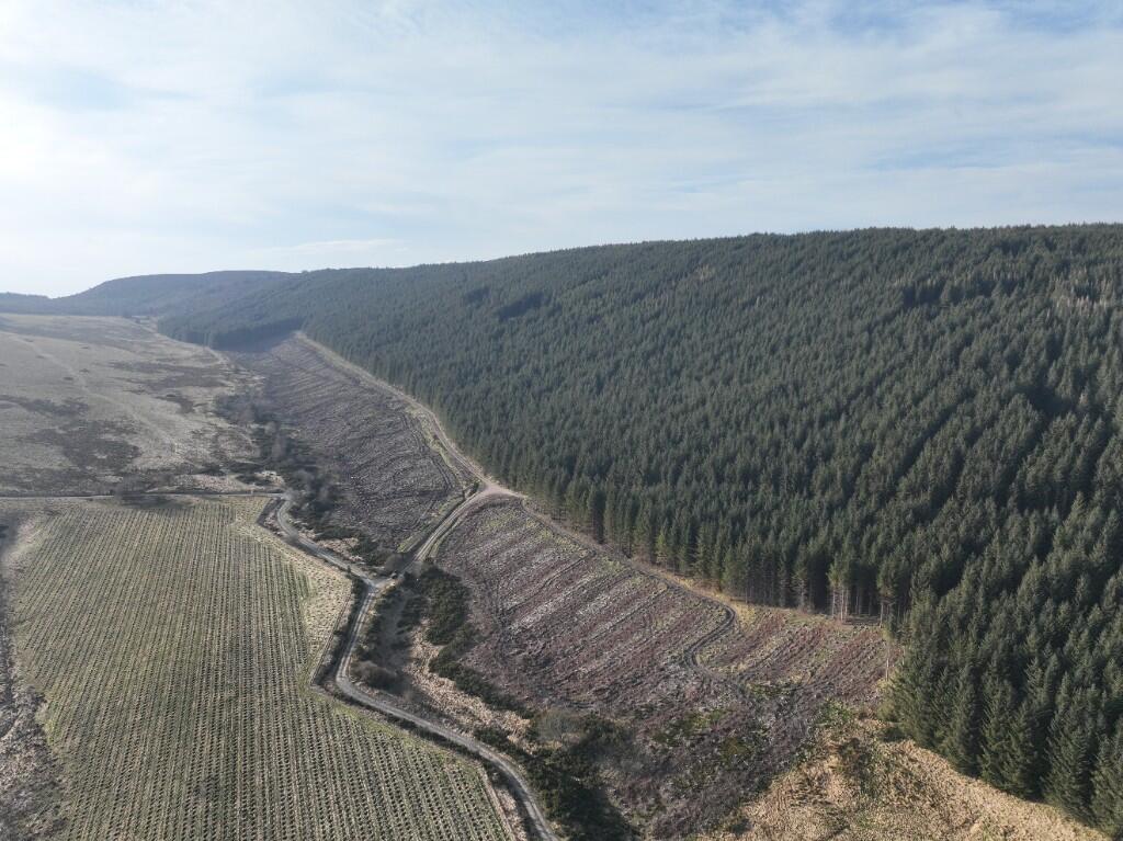 Additional image 4 of Glen of Noth Forest, Aberdeenshire AB54