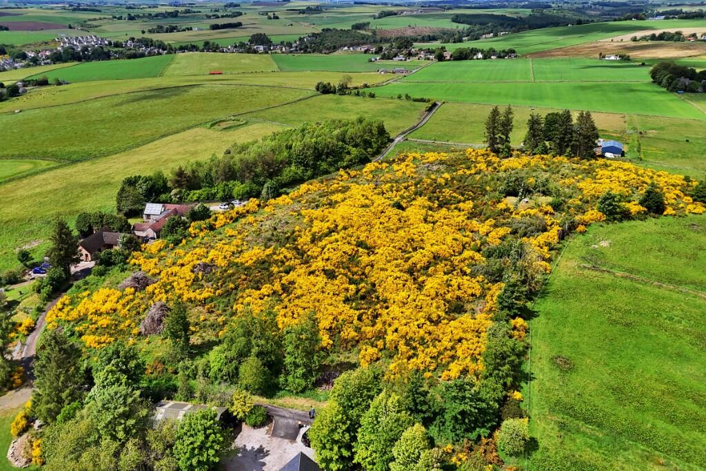 Additional image 2 of Lot 2 - Katies Woodie, Auchencrieve, Methlick, AB41 7DJ