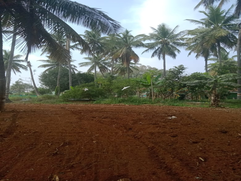 Additional image 3 of Chamarajapuram, Mysore