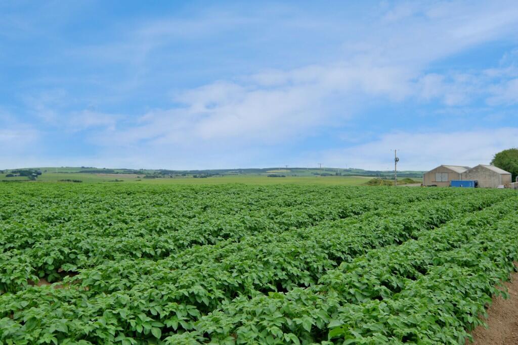 Additional image 9 of Land & Buildings at Collynie, Methlick, AB41 7EB