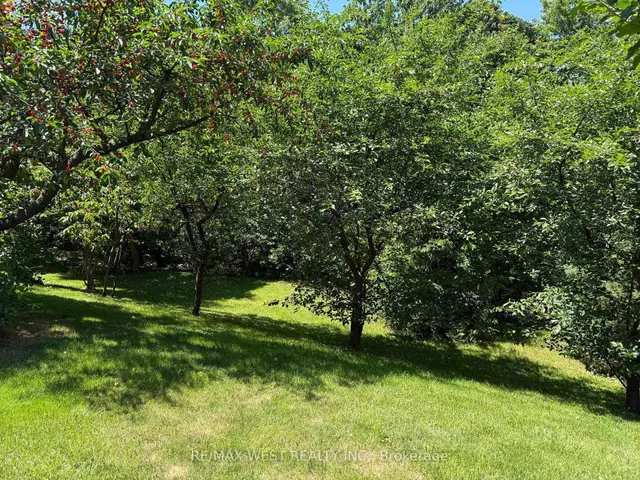 Additional image 41 of 4256 Petersburg Cres