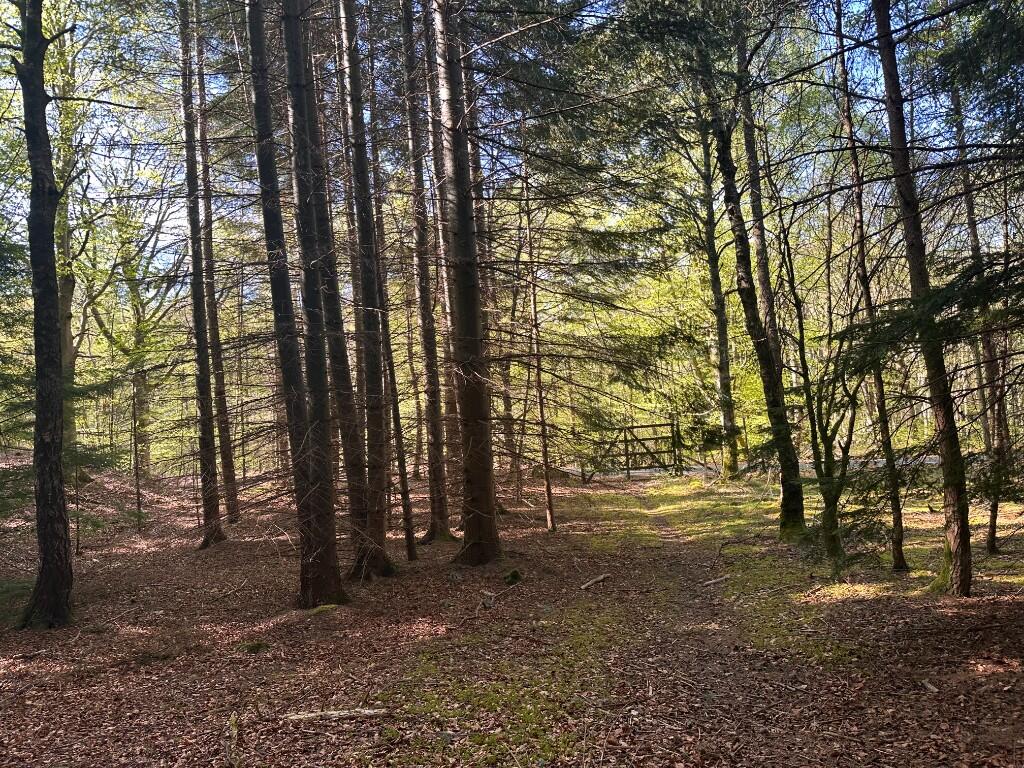 Additional image 12 of Minnonie Woodland, Falls of Feugh, AB31