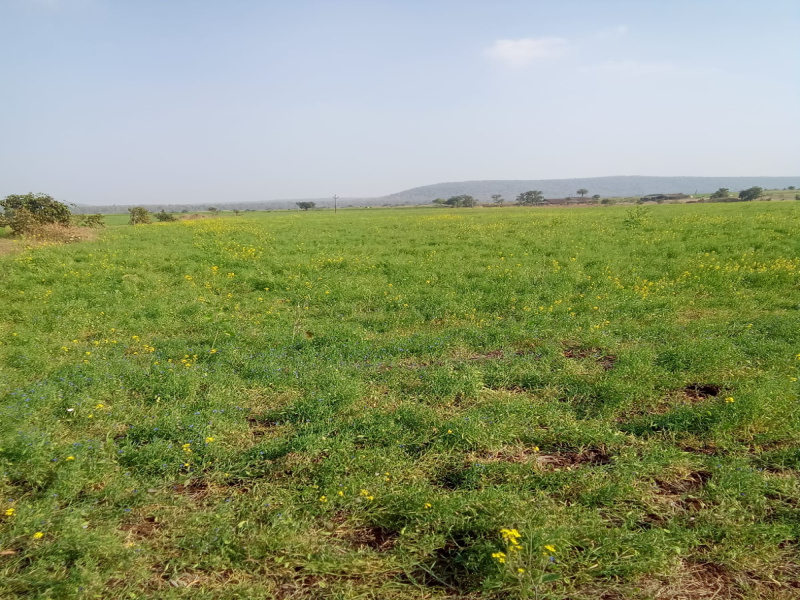 Additional image 2 of Ratibad, Bhopal