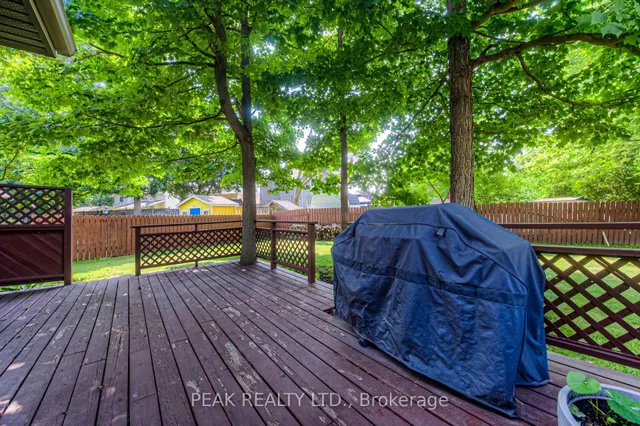 Additional image 44 of 75 Hickory Hollow Cres