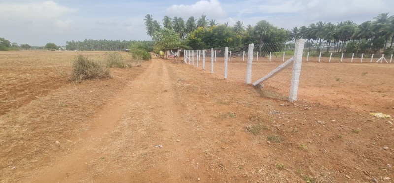 Additional image 2 of Pollachi, Coimbatore