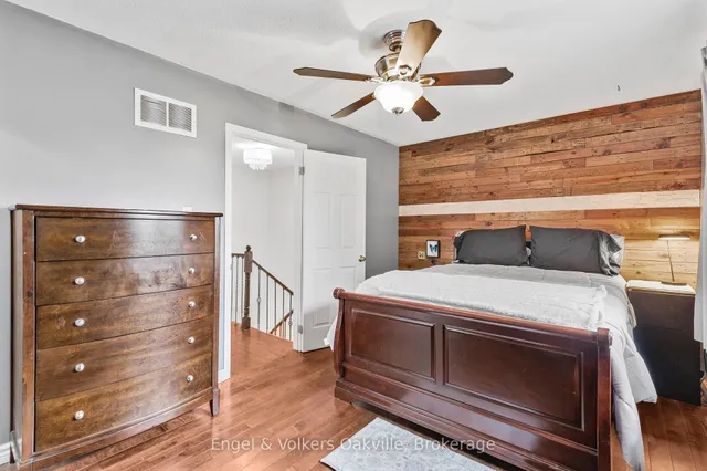 房产图片 16 - 569 菲比街道