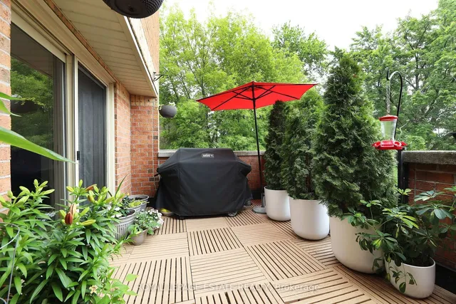 Additional image 17 of 34 Rodeo Ptwy