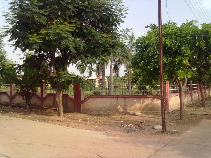 Additional image 3 of Saddu, Raipur