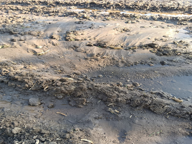 Additional image 3 of Kalameshwar, Nagpur