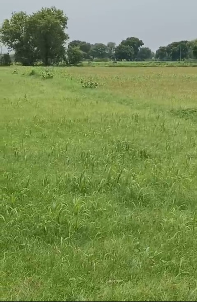 Additional image 2 of Burja, Alwar