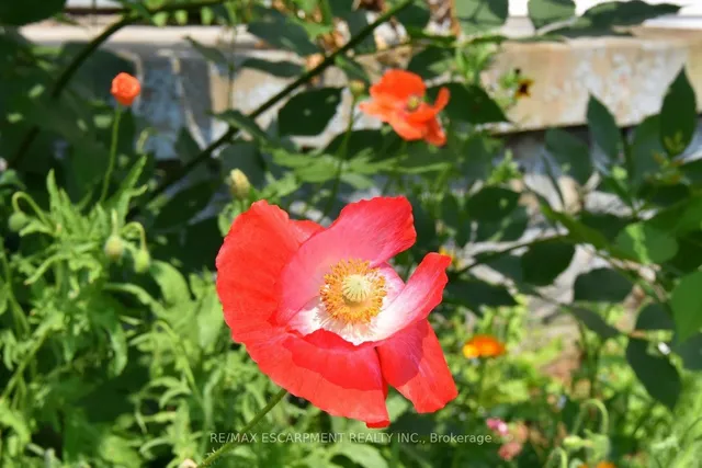 Additional image 34 of 449 Mary St