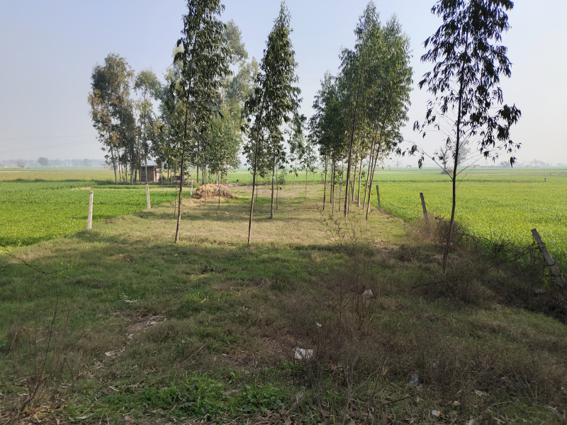 Additional image 2 of Barwala, Panchkula