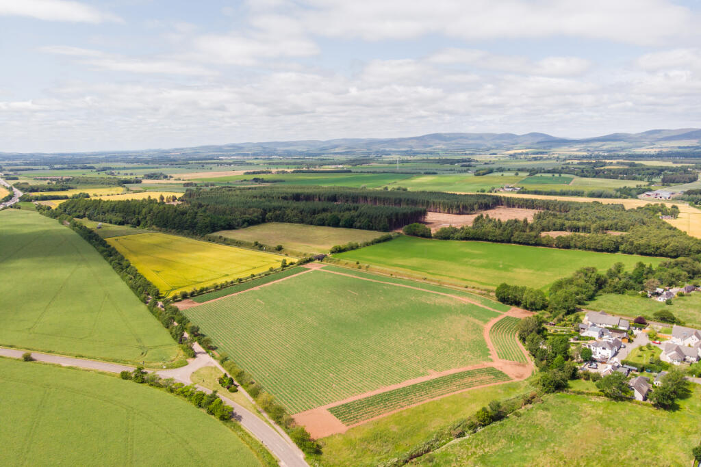 Additional image 28 of Kinnear Square, Laurencekirk, AB30