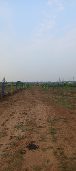 Additional image 3 of Pitapalli, Bhubaneswar