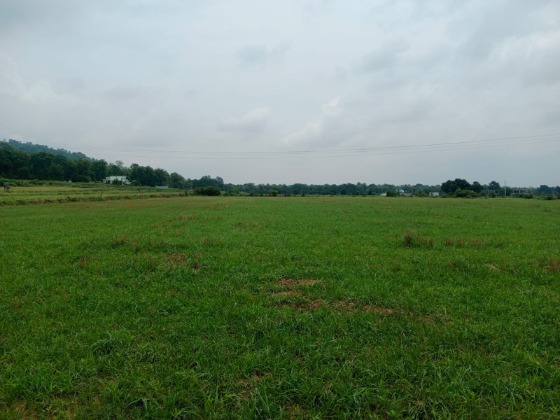 Additional image 2 of Kaladhungi, Nainital