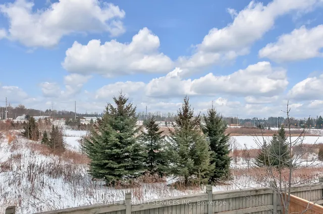 Additional image 39 of 4 Agincourt Circ