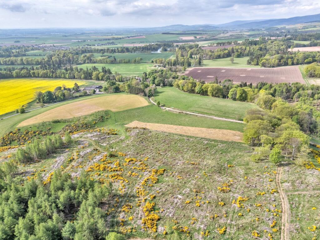Additional image 4 of Fasque House Estate, Fettercairn, Laurencekirk, AB30