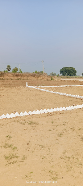 Primary image of Naubatpur, Patna