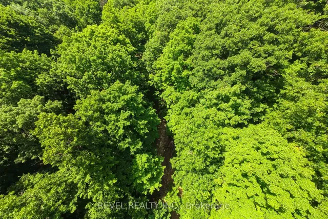 Additional image 33 of 2156 Lower Base Line