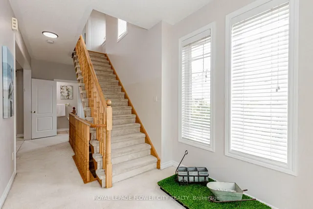 Additional image 29 of 23 NEW PINES Tr