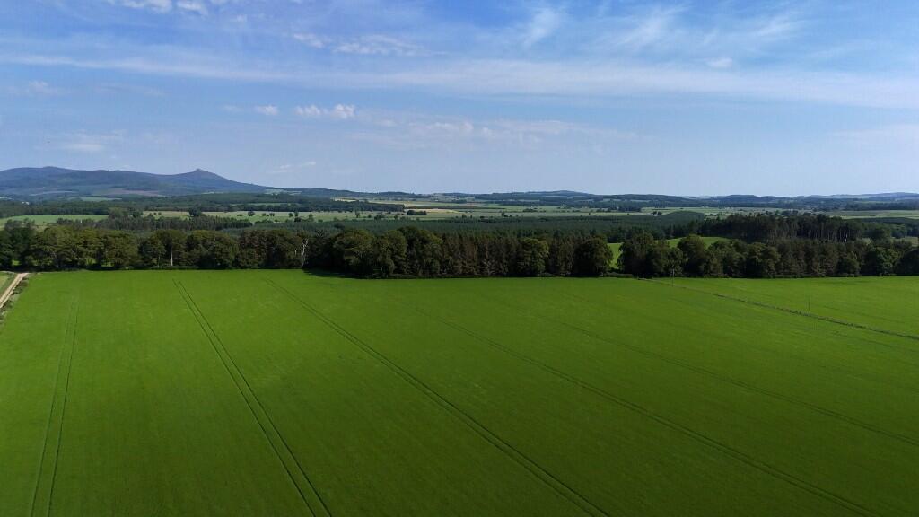 Additional image 8 of Land at Park Farm, Sauchen, AB51 7JR