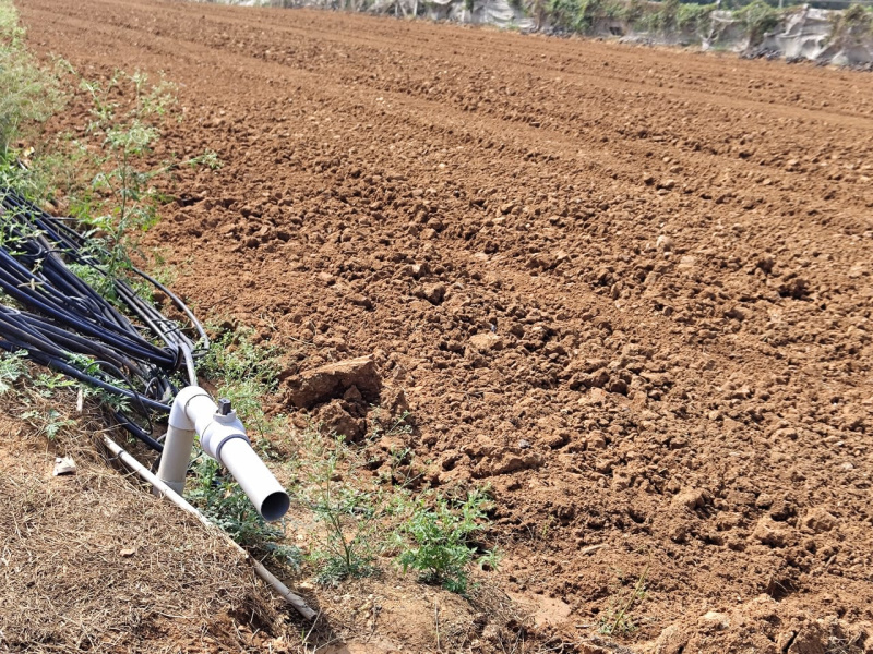 Additional image 2 of Malur, Bangalore