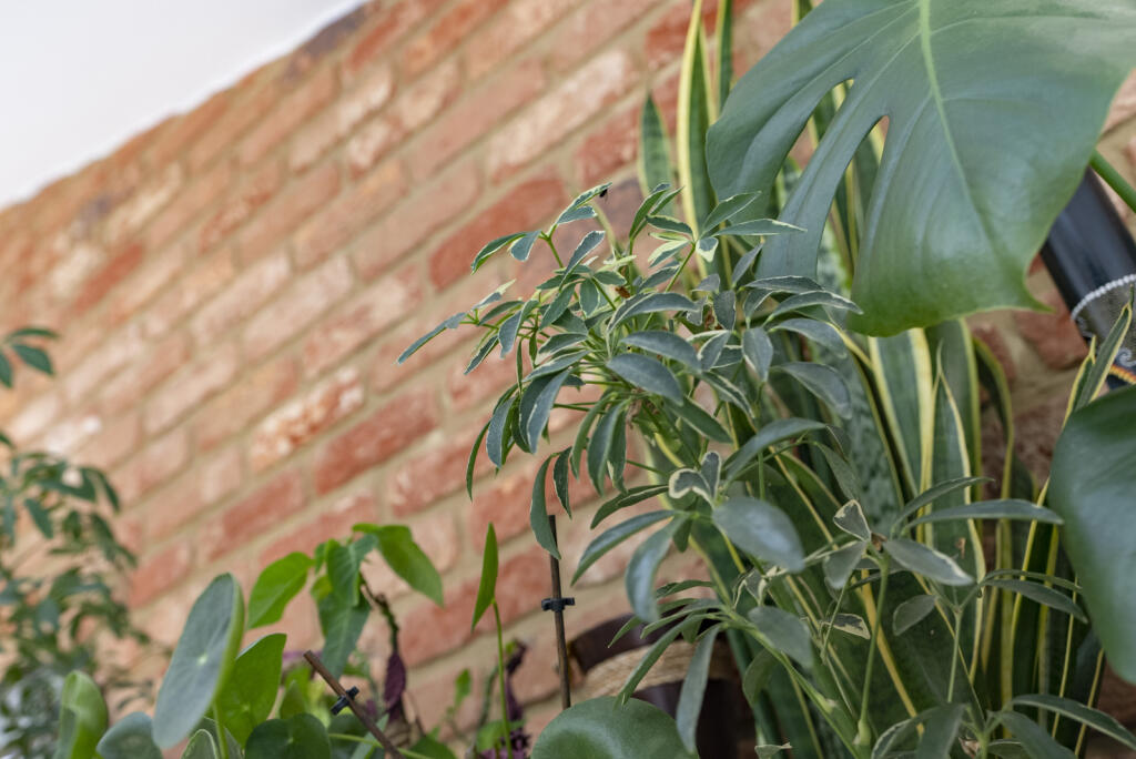 Additional image 19 of Kingshill Avenue, St. Albans, Hertfordshire, AL4