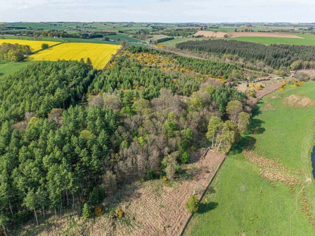 Additional image 7 of Braes Of Gight, Methlick, Ellon, Aberdeenshire