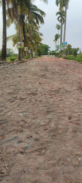 Additional image 2 of Khariberia, Kolkata