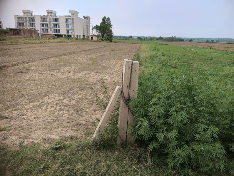 Additional image 2 of Kharar, Mohali