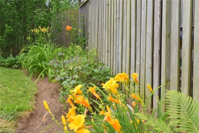 Additional image 28 of 58 Baldwin St