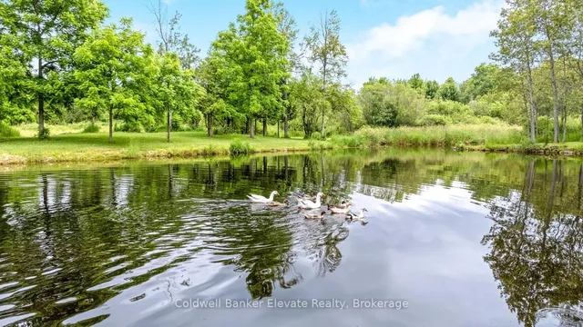 房产图片 45 - 加拿大NASSAGAWEYA第二线11425号