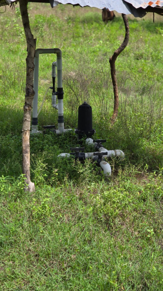 Additional image 2 of Kalavasal, Madurai