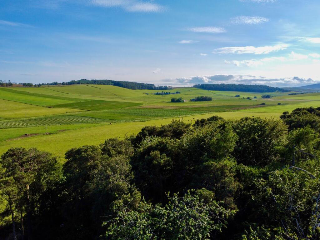 Additional image 40 of Muir Of Fowlis, Alford, AB33