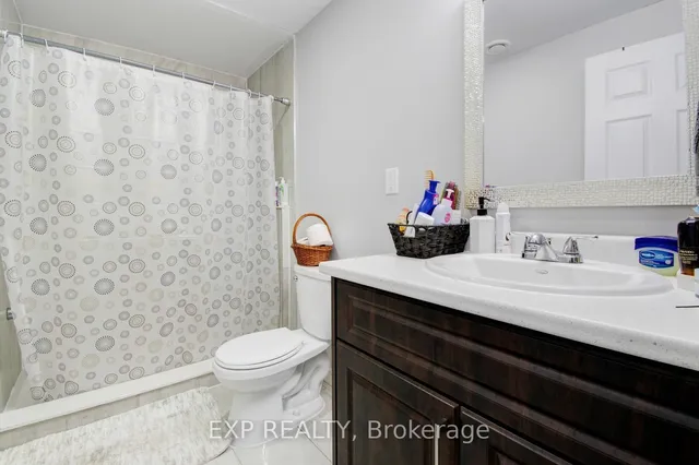 Additional image 41 of 49 Scots Pine Tr