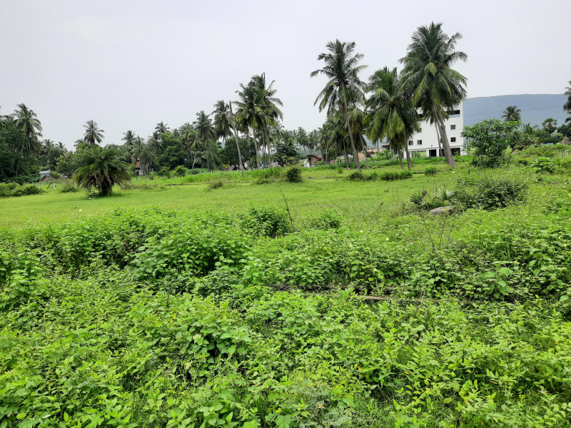 Additional image 2 of Anakapalle, Visakhapatnam