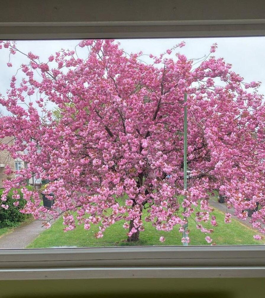 Additional image 21 of Windmill Avenue, St. Albans, AL4 9SL