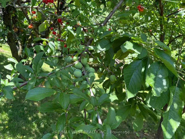 Additional image 27 of 4256 Petersburg Cres