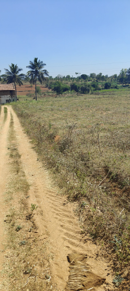 Additional image 3 of Hunsur Road, Mysore