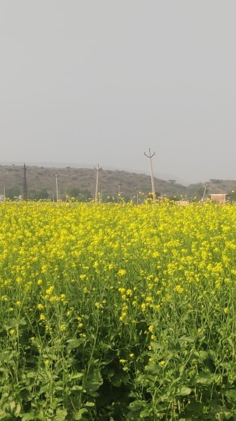 Additional image 2 of Naugaon, Alwar
