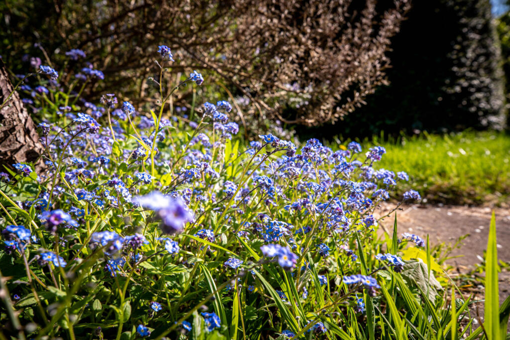 Additional image 30 of Sandpit Lane, St. Albans, Hertfordshire, AL4