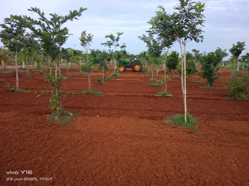 Additional image 2 of Kalpakkam To Vandalur Road, Chennai