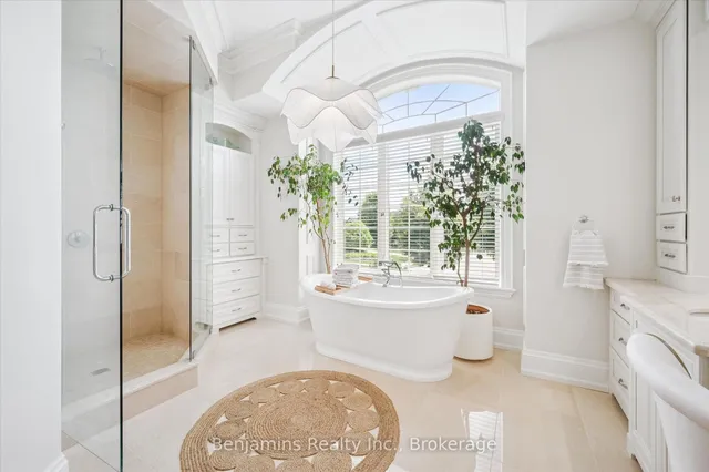 Additional image 30 of 253 River Birch St