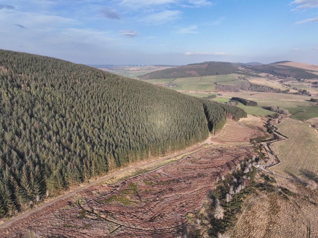 Additional image 7 of Glen of Noth Forest, Aberdeenshire AB54