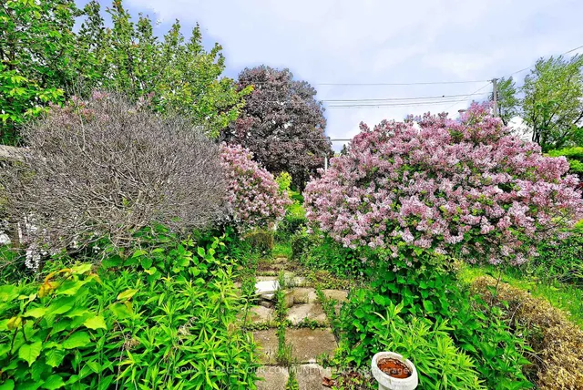 Additional image 39 of 39 Penworth Rd